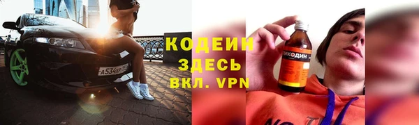 прущие грибы Тихвин