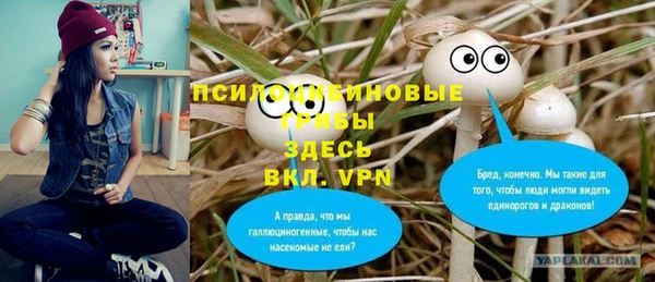 apvp Волоколамск